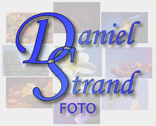 Daniel Strand Foto logotyp